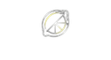 Lemon  Casino